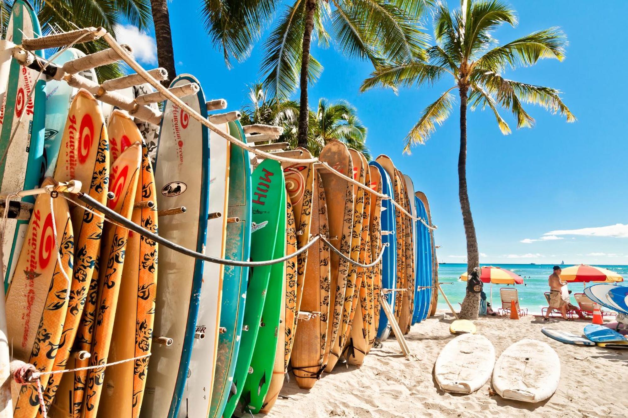 Aloha Vibes With Ocean Views, Near Beach & Parking! Honolulu Eksteriør bilde